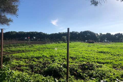 Terra a Barbate, Cadiz, Barbate - € 480.000 | Ref: vc 191 - foto 31